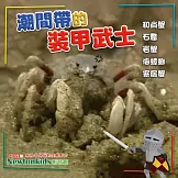 潮間帶的裝甲武士 (影片)