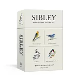 Sibley Birds of Land, Sea, and Sky: 50 Postcards