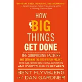 How Big Things Get Done