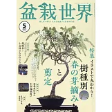 盆栽世界 5月號/2025