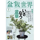盆栽世界 7月號/2025
