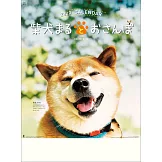 柴犬MARU2020年掛曆