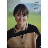 Platinum FLASH女星寫真情報專集 VOL.23：遠藤櫻（乃木坂46）（附資料夾）