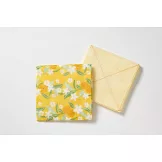 中川政七商店情報專集：附抹布2入組