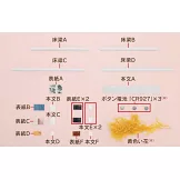 彼得兔世界英式花園＆房屋模型收藏特刊 128：附材料組