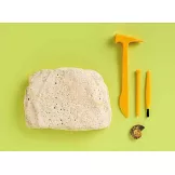 學研科學情報單品：恐龍化石發掘材料組