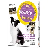 邊境牧羊犬教養小百科