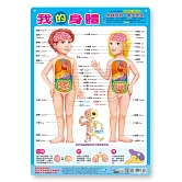我的身體掛圖(捲式)
