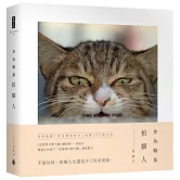 身為職業拍貓人：不論如何，拍貓人生還是少了許多煩惱