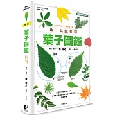 葉子圖鑑