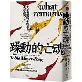 躁動的亡魂：太平天國戰爭的暴力、失序與死亡