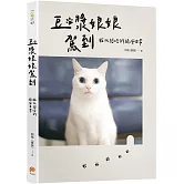 豆漿娘娘駕到【愛藏版】：貓奴阿晧的跪安日常。隨書附贈「喵界林志玲超可愛貼紙」，讓豆漿娘娘天天陪著你！