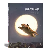 夜晚奔馳的貓