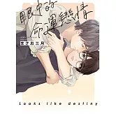 眼中的命運戀情 全