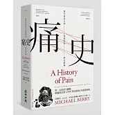 痛史──現代華語文學與電影的歷史創傷(新版)