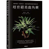 培育絕美鹿角蕨：進階栽培×配置設計，兼顧收藏與裝飾的綠植美學
