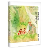 有靈2 與神同行的阿美族民族植物