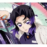 Aimer / 太陽が昇らない世界【期間生産限定盤】(CD+BD)