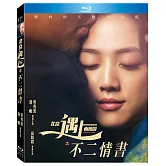 北京遇上西雅圖之不二情書 BD