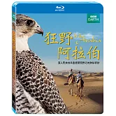 狂野阿拉伯 (藍光BD)
