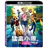 猛禽小隊：小丑女大解放 UHD+BD 雙碟限定版