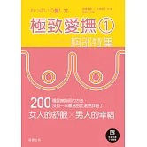 極致愛撫1：胸部特集 (電子書)