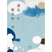 遇見一片微笑的，雪 (電子書)