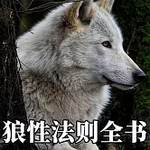 狼性法則全書 (有聲書)