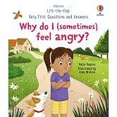 Q&A知識翻翻書：我為什麼有時候會覺得生氣？(3歲以上) Very First Questions and Answers: Why do I (sometimes) feel angry?