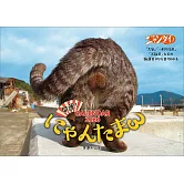 貓咪蛋蛋2026年掛曆