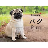 巴哥犬2026年月曆