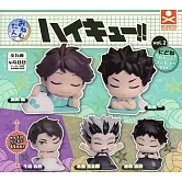 轉蛋 排球少年睡眠公仔P2：新色篇（全5款）