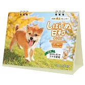 柴犬日和 mini 2026年月曆