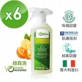 【箱購】 多功能去油清潔劑噴霧 (500ml)X6瓶
