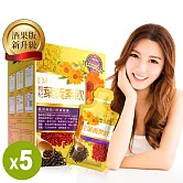 潘懷宗代言-枸杞葉黃素飲x5盒組