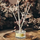 VANA 永恆記憶擴香【徜徉自然】檀香木質調 50ml  【徜徉自然】檀香木質調 50ml