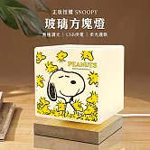 【正版授權】SNOOPY 柔光玻璃方塊LED夜燈 氣氛燈 閱讀燈 USB供電- 飛鳥包圍