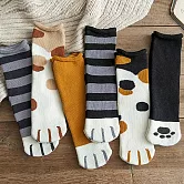 【AnZa】貓爪加厚保暖純棉襪(5入組) F 5入組