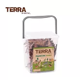 【TERRA】60入情境桶 史前世界 史前世界