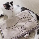 【日本今治Hartwell】Neko貓咪 柔軟純棉今治毛巾 ‧ 灰
