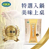 【中興米】北海稻特賞胚芽糙米2KG