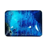 翡冷翠文創齊柏林立體磁鐵｜《嘉義．水漾森林》【看見台灣周邊商品】