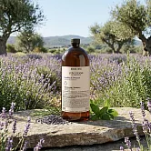 L’OCCITANE 歐舒丹 草本平衡洗髮乳補充瓶(500ml)-國際航空版