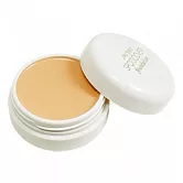 SHISEIDO 資生堂 完美遮瑕蜜(20g)(S100自然膚色)