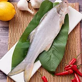 【統一生機】午仔魚 250g/包