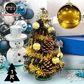 摩達客★台灣製迷你1呎/1尺(30cm)時尚金彩音符系裝飾黑色聖誕樹+LED20燈銅線燈(暖白光/USB電池兩用充電)免組裝/本島免運費