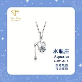 【CF鑽飾】莫桑鑽《水瓶座》1克拉純銀項鍊 星座 生日禮物