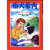 靈犬萊西