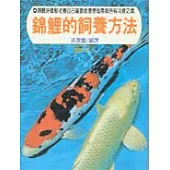 錦鯉的飼養方法