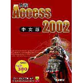 實戰Access 2002中文版
